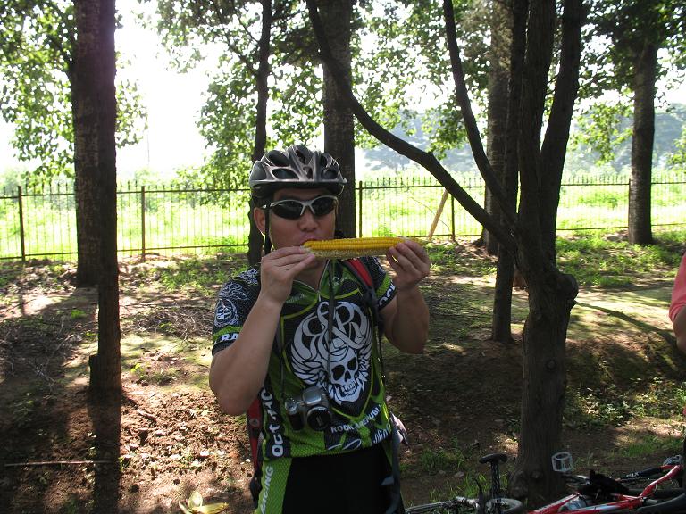 玉米是金票换的