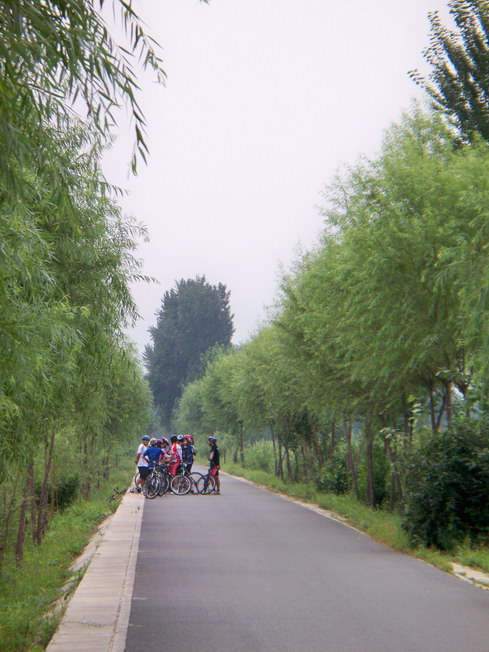 围观公路王摔车