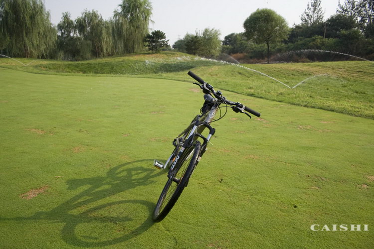 站起来动动，来个高难动作