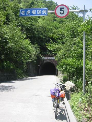 调整大小 IMG_2363.JPG