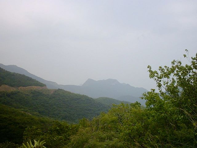 好像是王平方向的远山