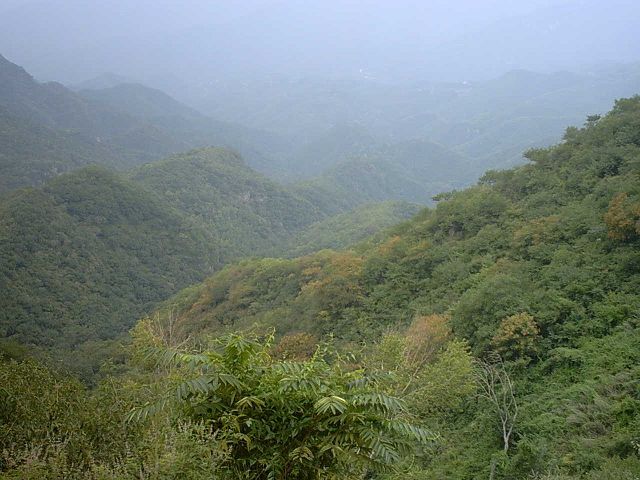 定了神才不眼晕了