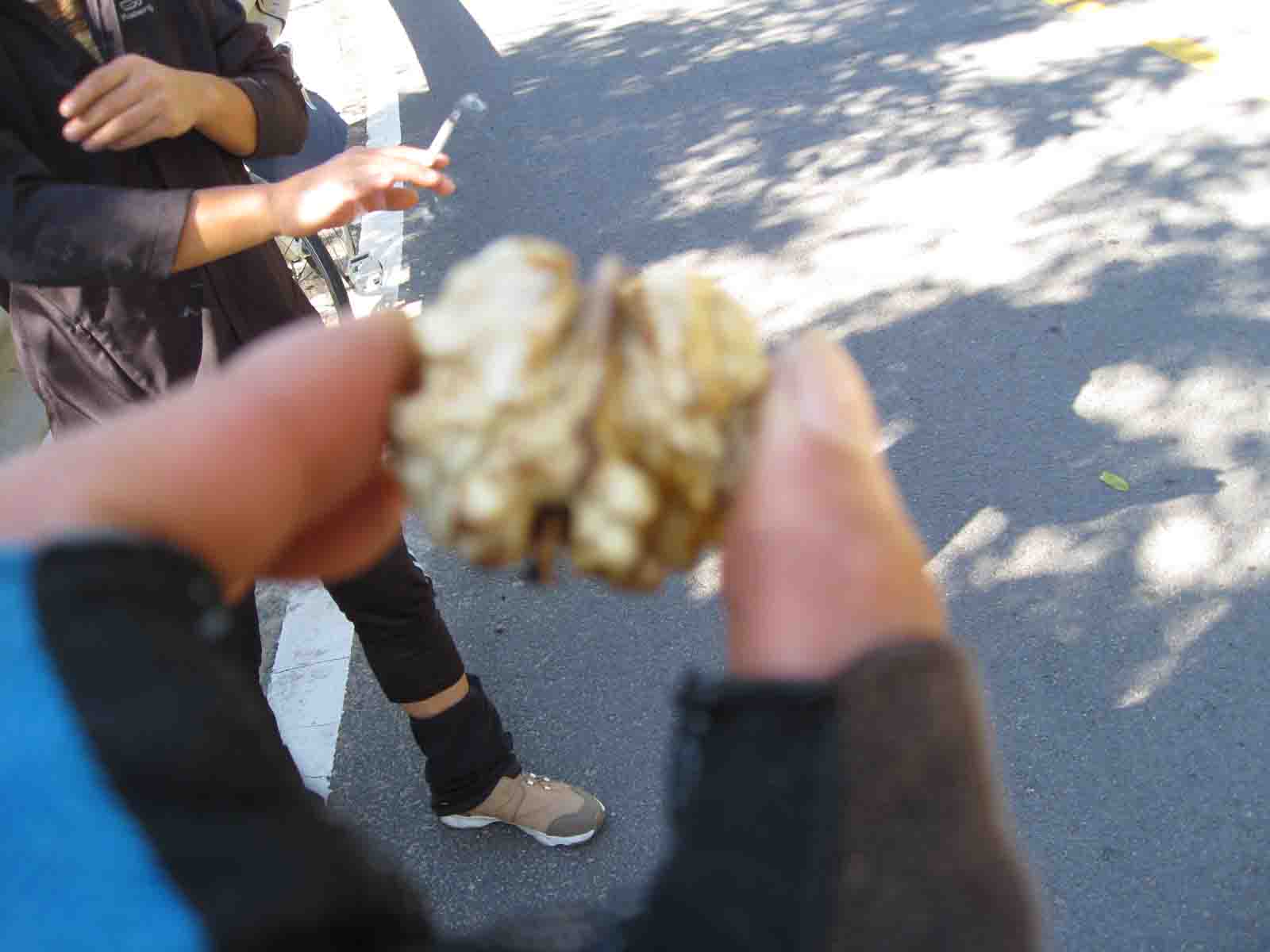 1IMG_5604 副本.JPG