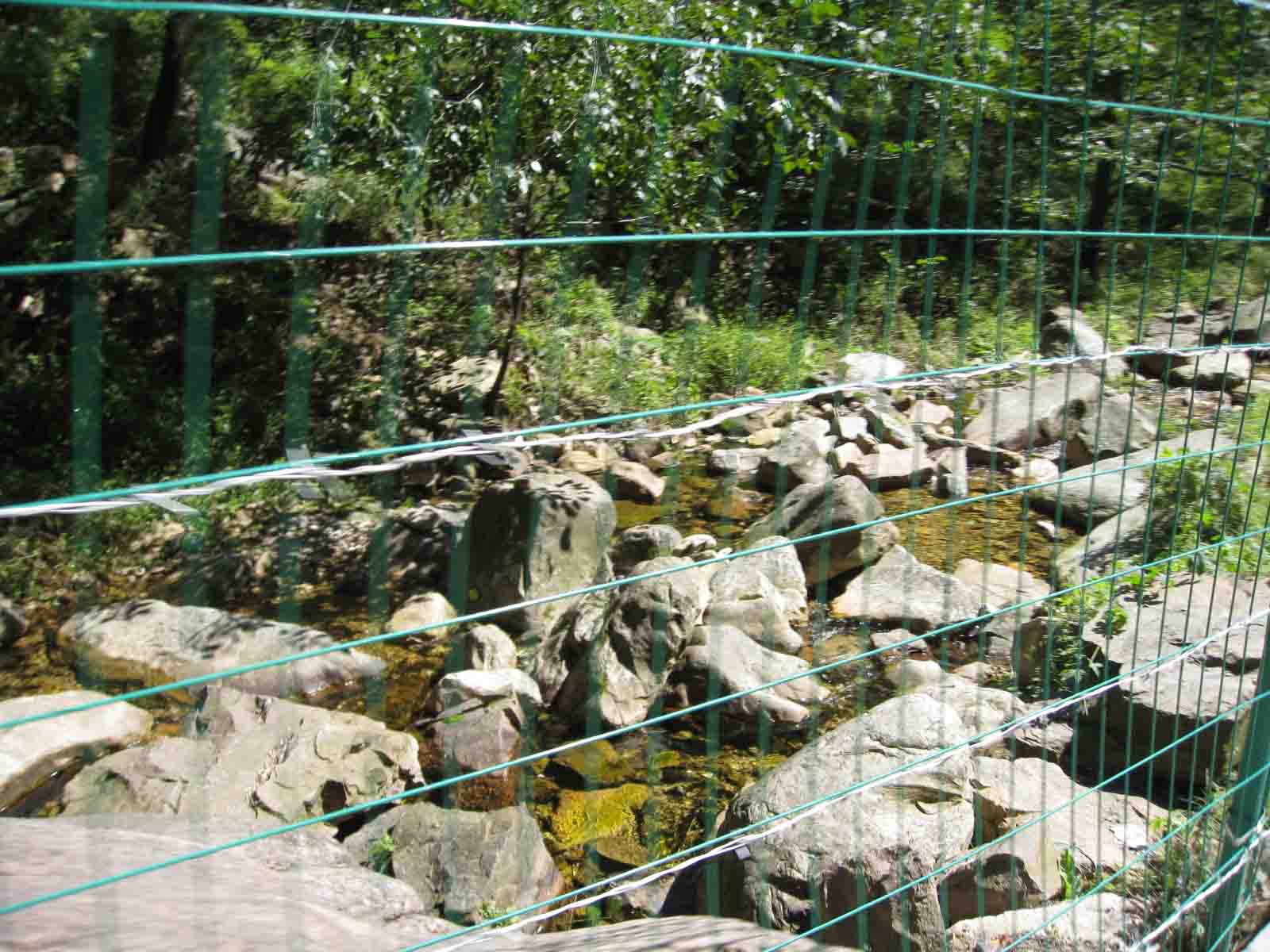 1IMG_5492 副本.jpg