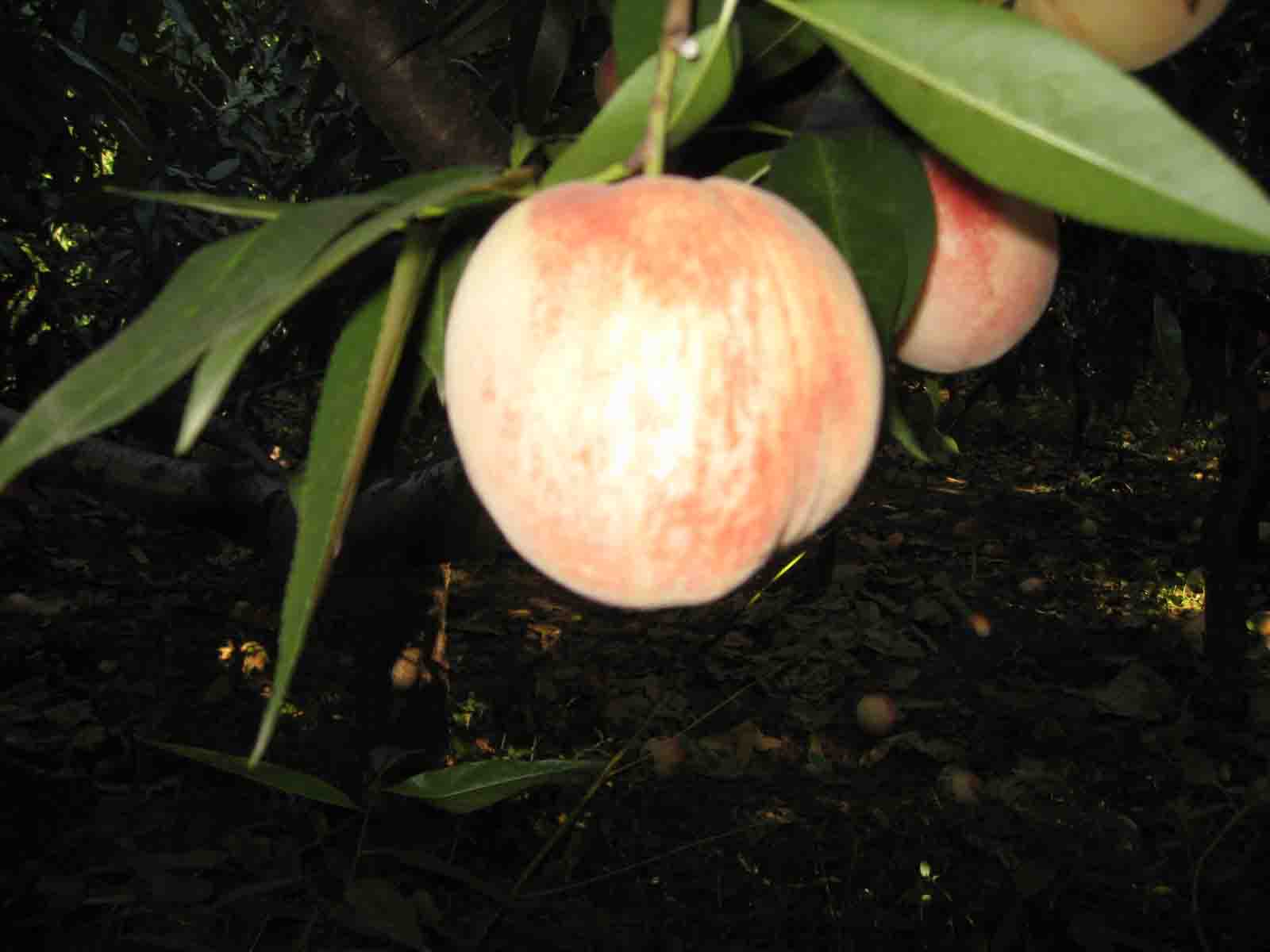 1IMG_5628 副本.jpg