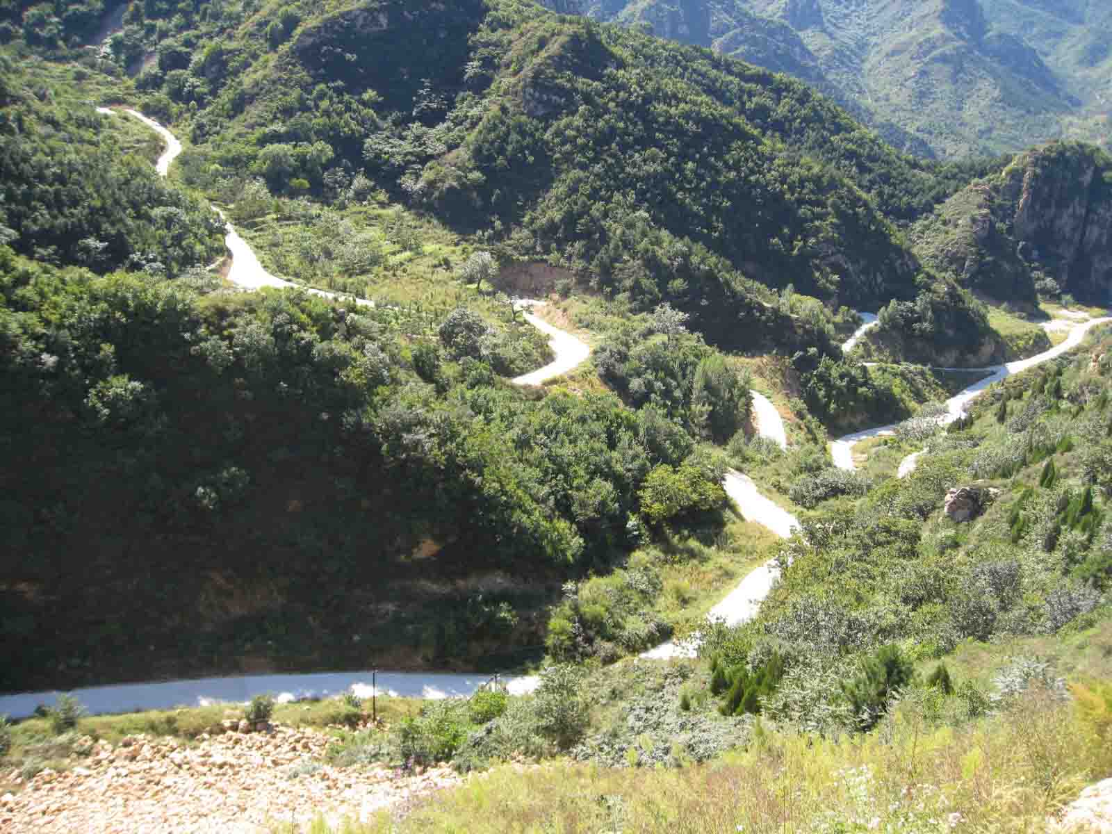 1IMG_5583 副本.JPG