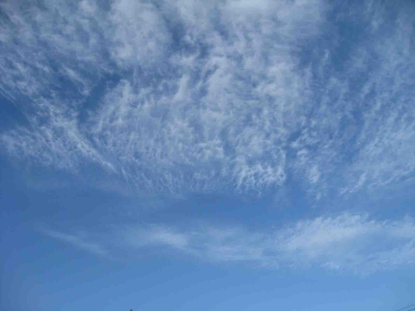 1IMG_5635 副本.JPG