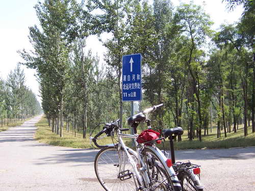 由此左拐/砂石路