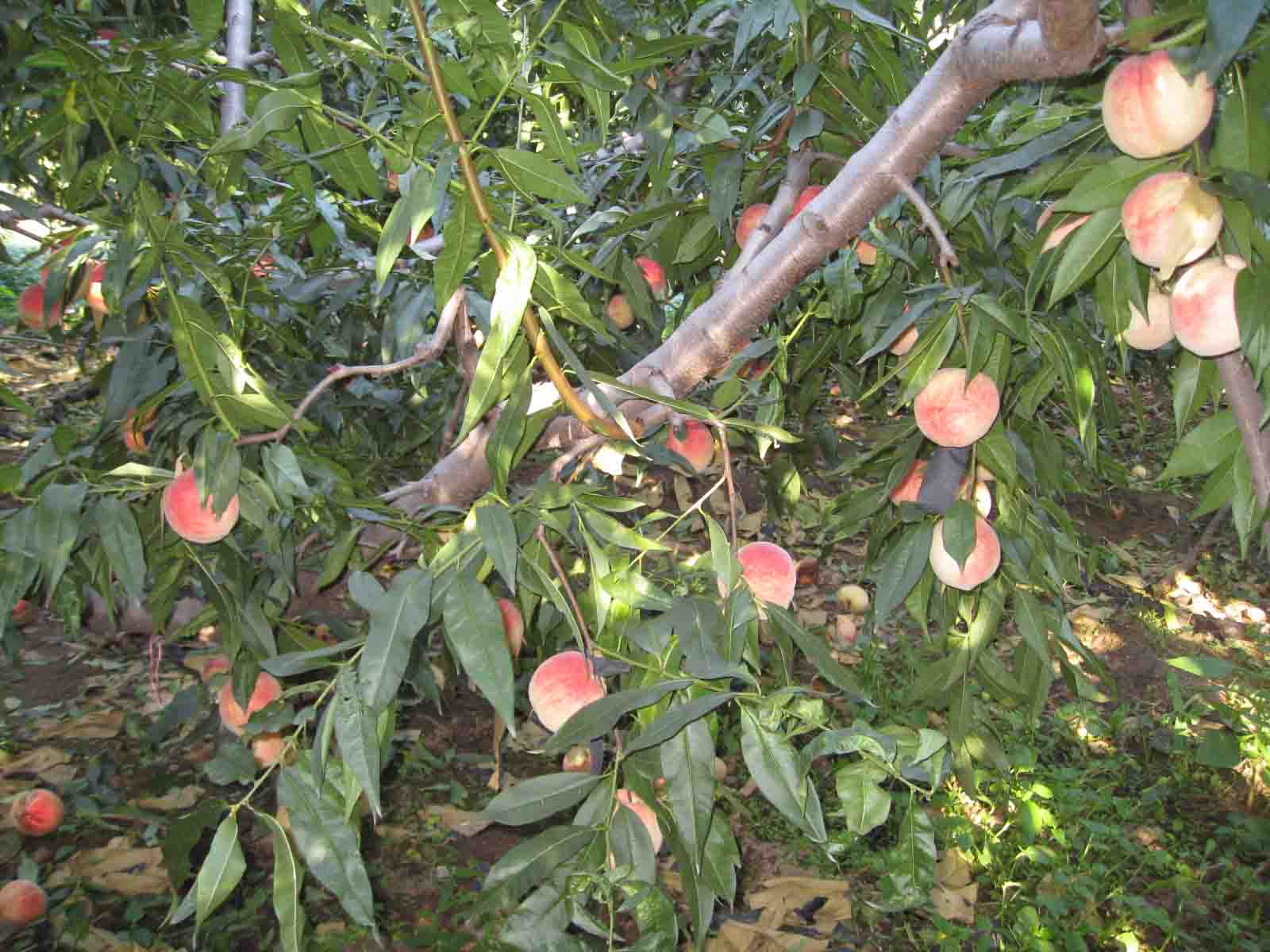 1IMG_5626 副本.jpg