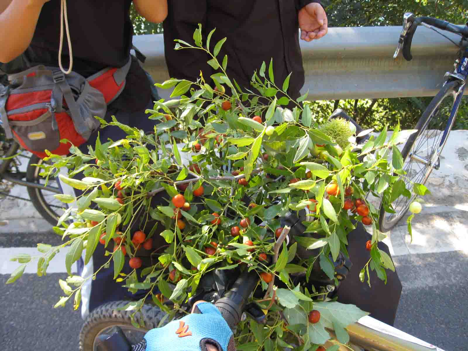 1IMG_5599 副本.JPG