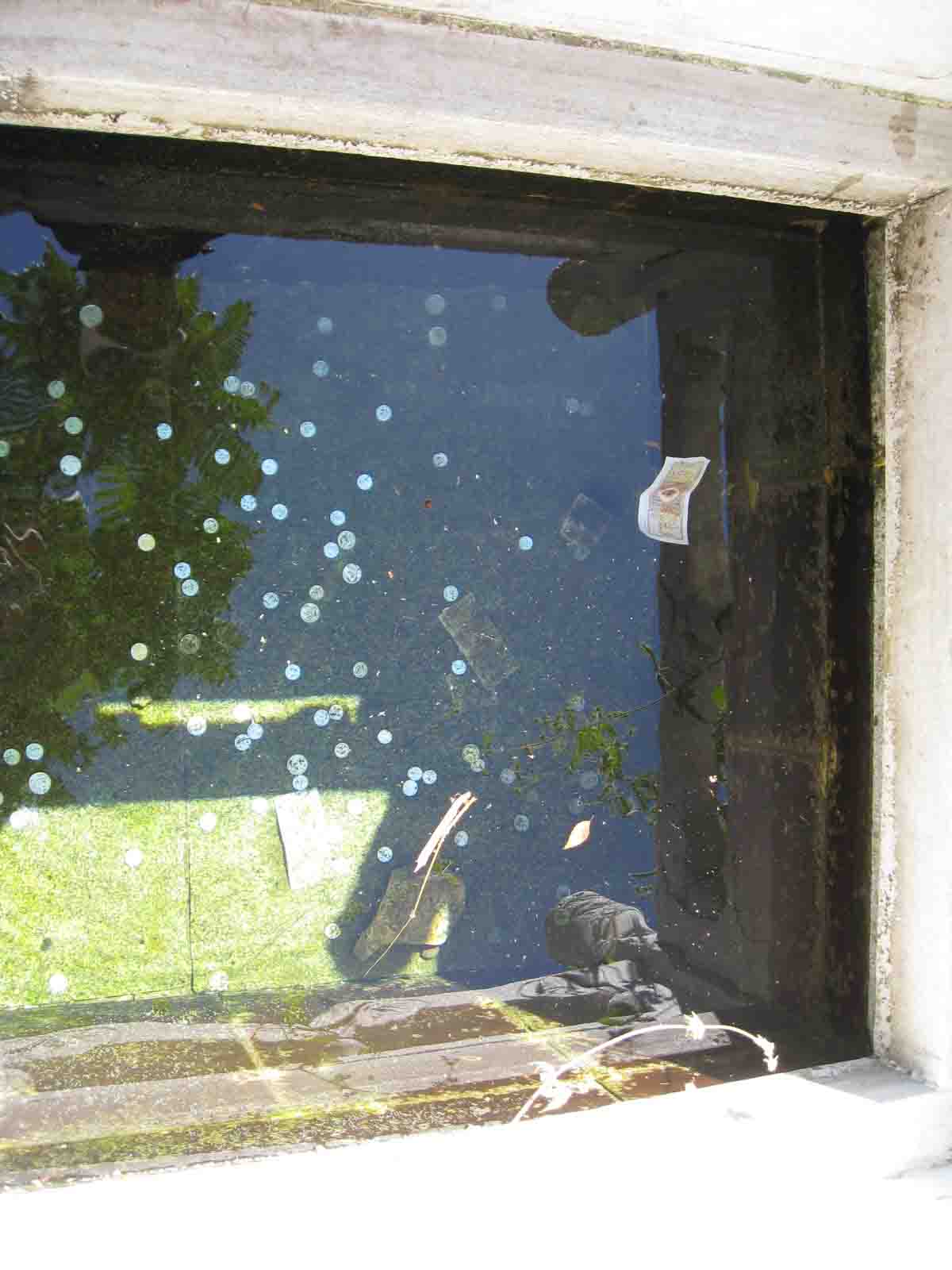 1IMG_5522 副本.JPG