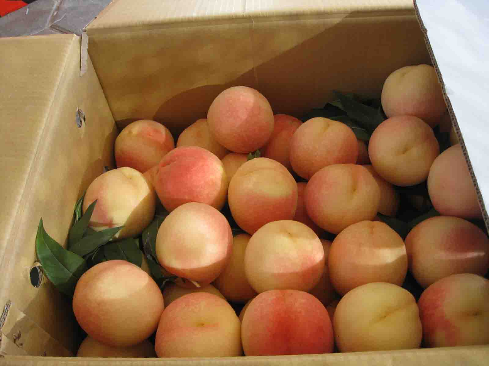 1IMG_5625 副本.jpg