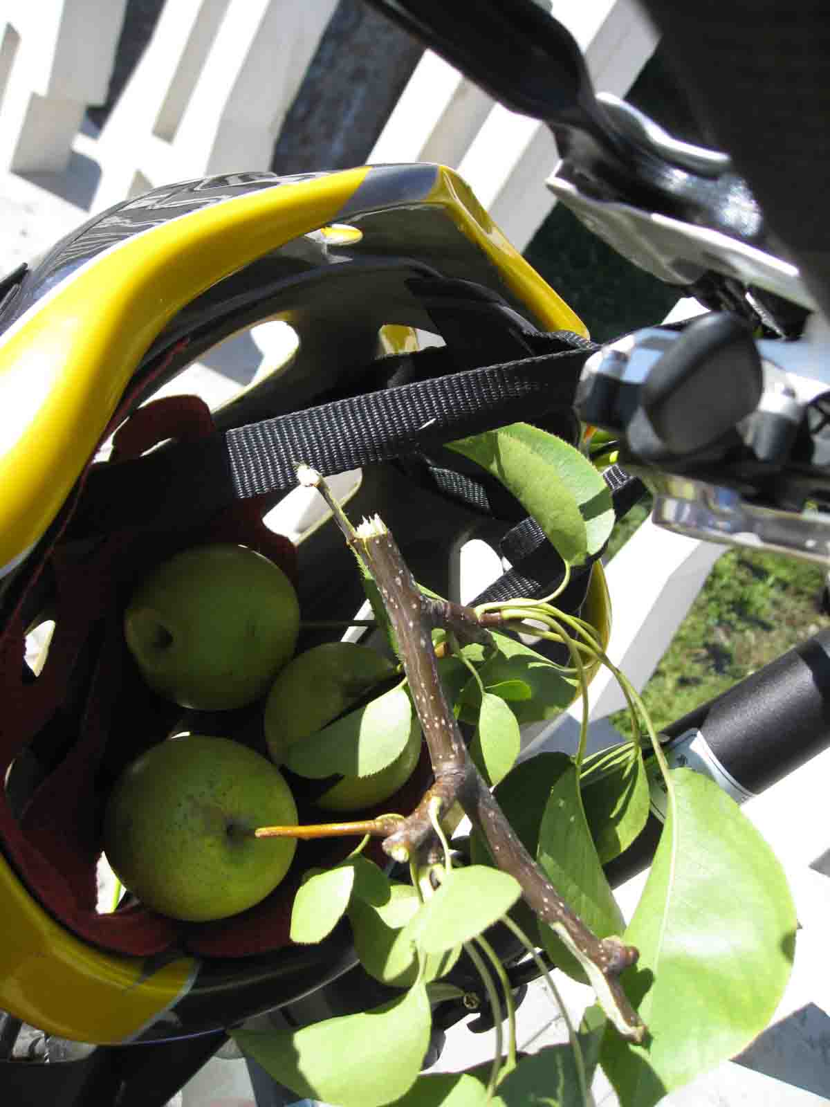 1IMG_5613 副本.jpg