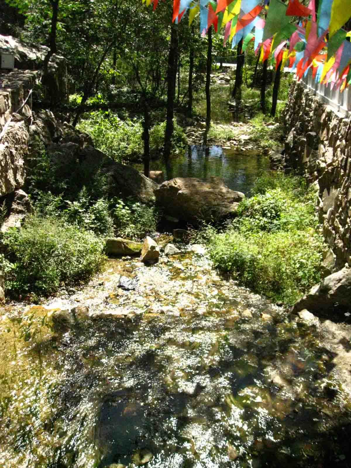 1IMG_5493 副本.JPG