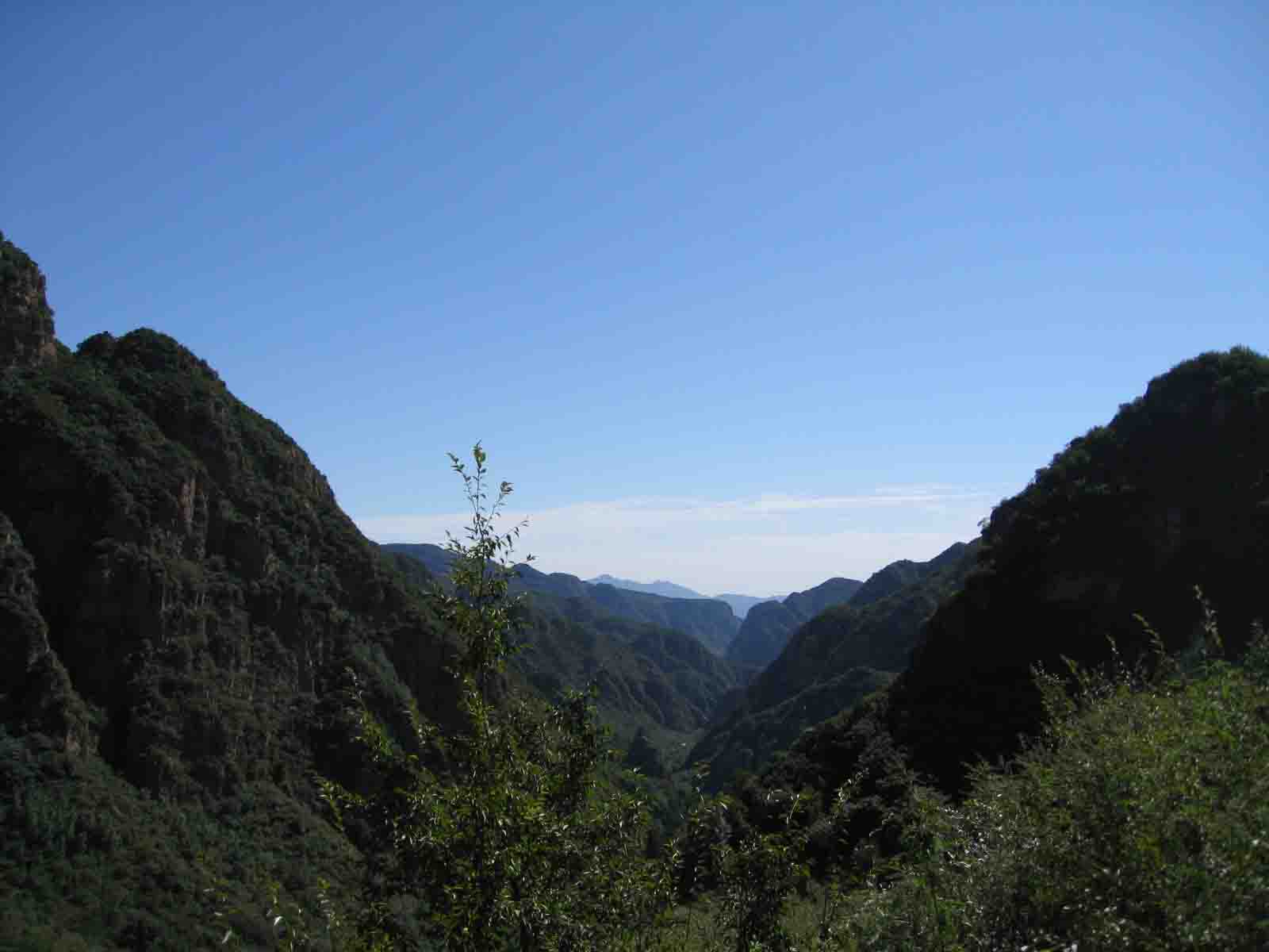 1IMG_5564 副本.JPG