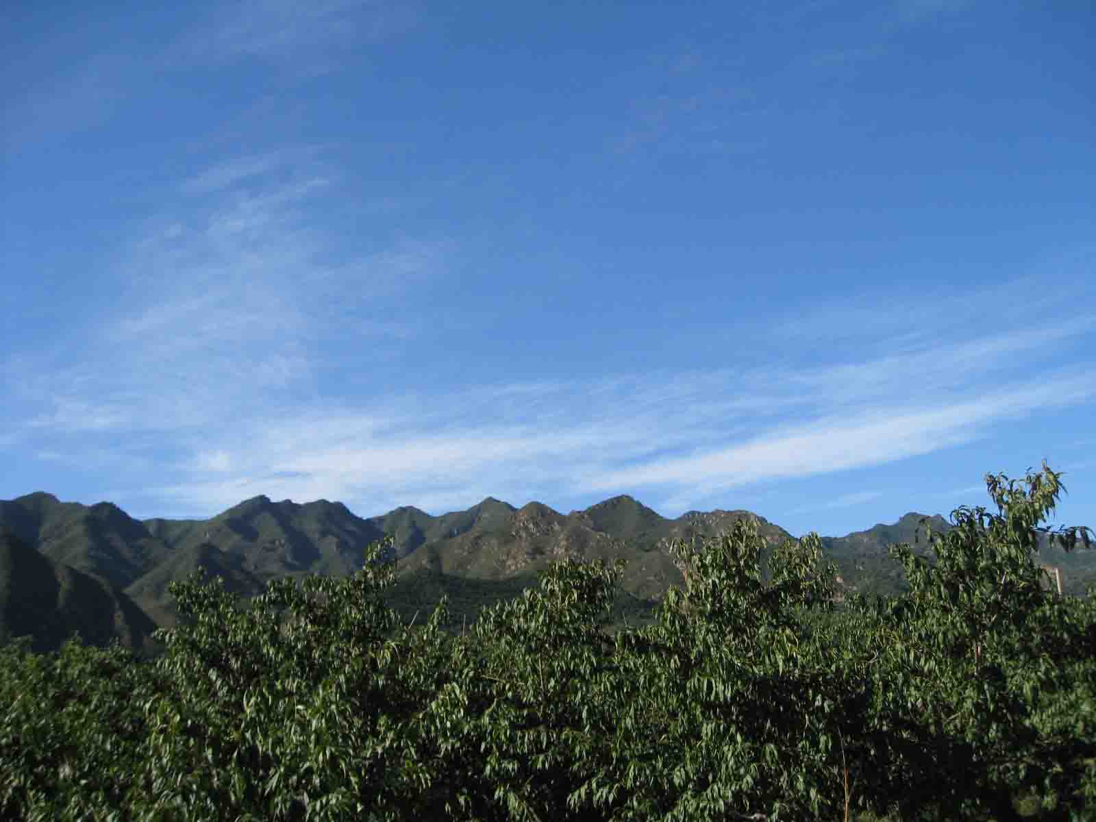 1IMG_5616 副本.JPG