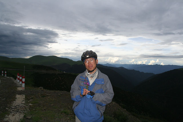 老醋可爱的样子