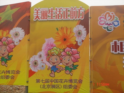 连个代言人，有点像烫了头的中年妇女