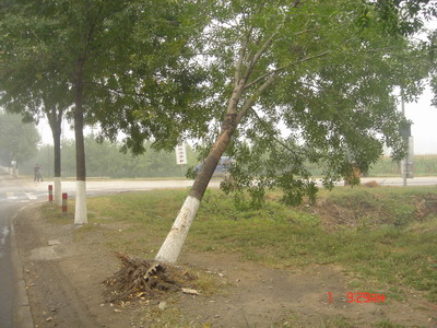 是命运吗！！！！