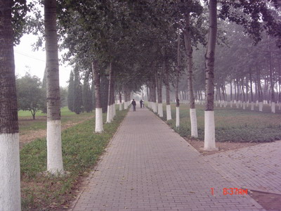 林间小道，不会担心擦身而过的汽车