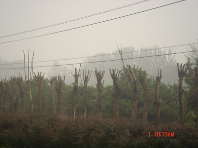 站齐了，向首长致敬