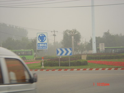 高大的柳树在那