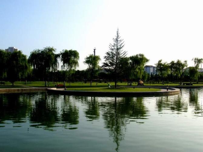 我的校园 (1).jpg