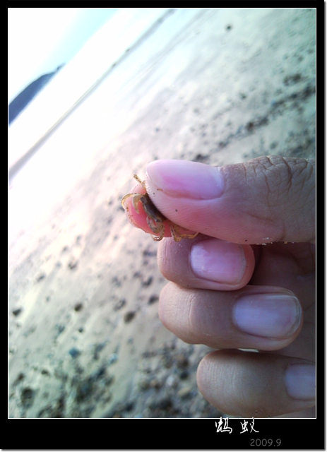 我的校园 (6).jpg