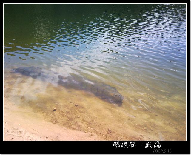 伪户外活动 (7).jpg