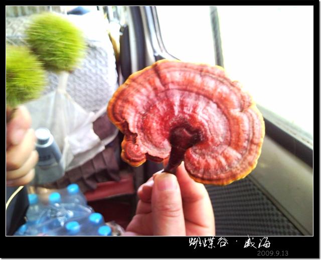 伪户外活动 (11).jpg