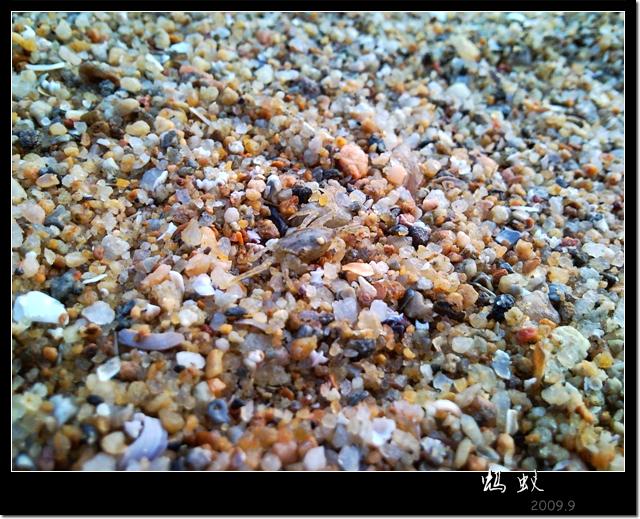 我的校园 (3).jpg