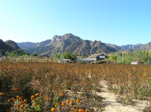 前往千家店的途中之二