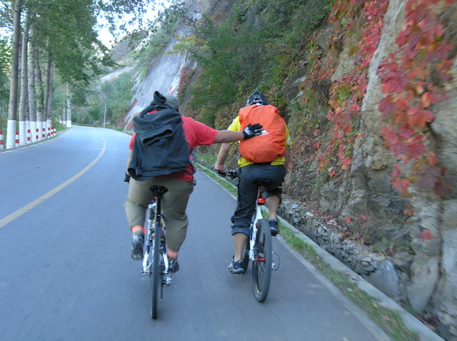 热心助人的馄饨