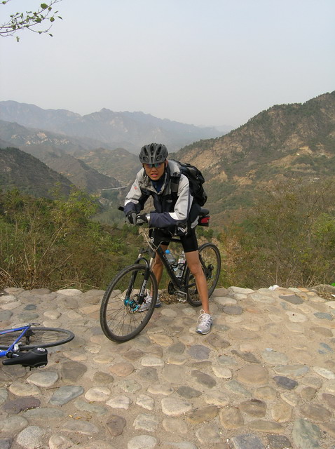 懒猫儿和我一样，在镜头前总不会摆姿势