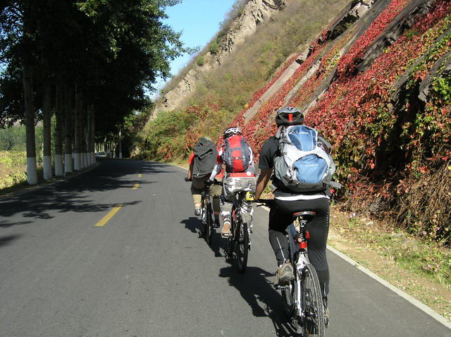 披荆斩棘的馄饨