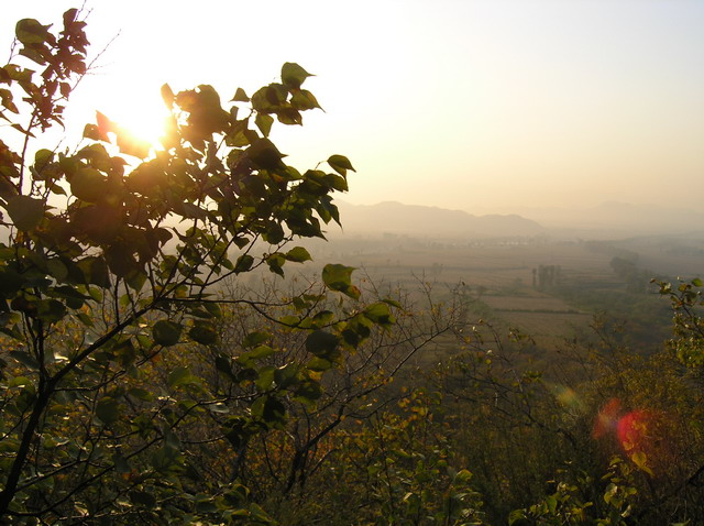 夕阳下的农田很美，我的技术照不出来