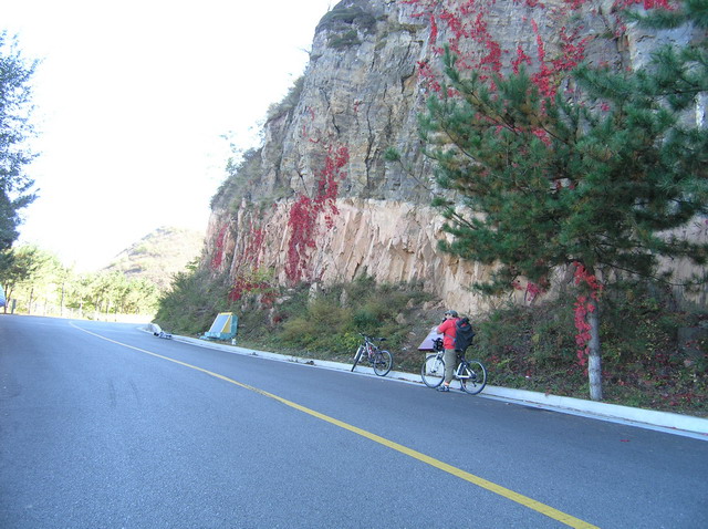 禽兽们早走远了，我偷懒到和馄饨一起来收队了