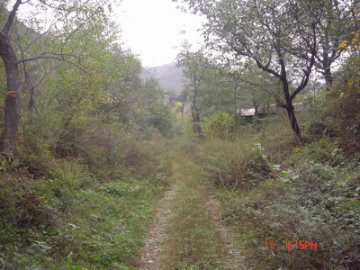 左边路，还有人家，电影的恐怖画面，很害怕没有过去