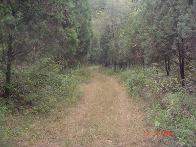 又是个分岔路，右边路