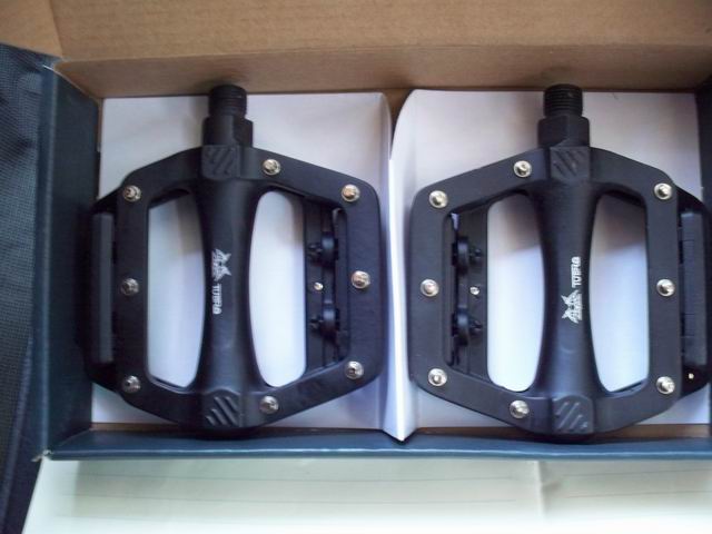 调整大小 100_0273.JPG