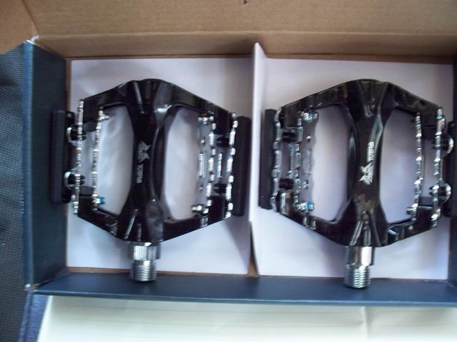 调整大小 100_0275.JPG