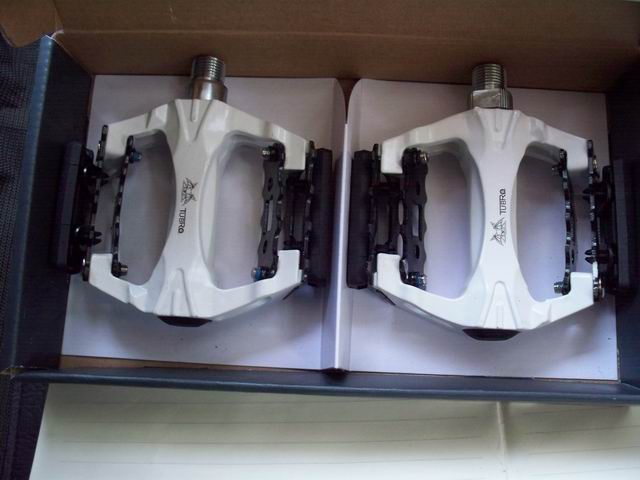 调整大小 100_0274.JPG