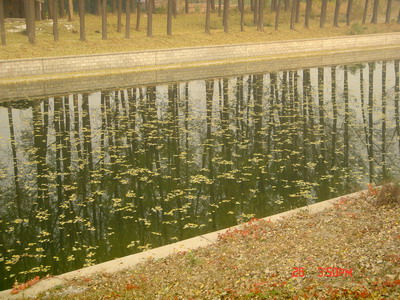 这水是饮用水吗