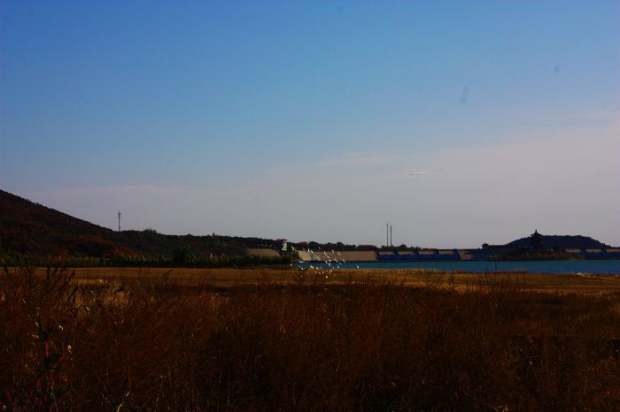 争渡争渡惊起一滩鸥鹭！