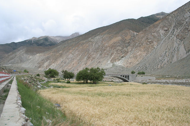 麦浪，壮观至极，心情也开阔起来