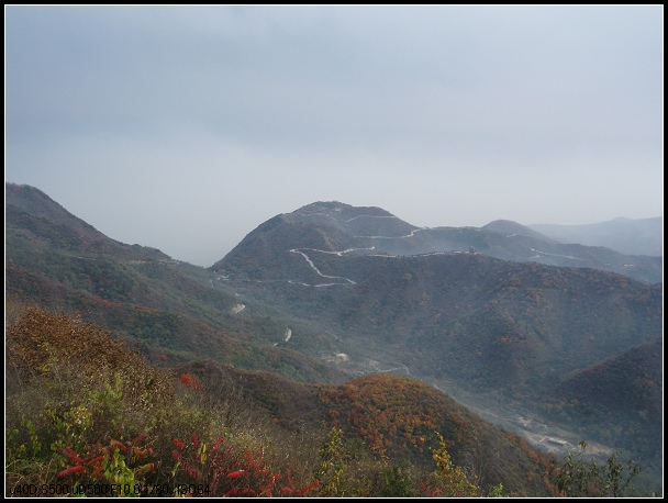 高山，云雾，红叶。。。就这样撞进眼帘！