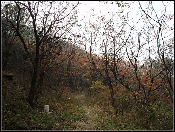 弯曲的小路那头是谁的家？