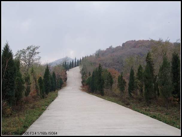 路的那头，高高的望京塔在等待我们。