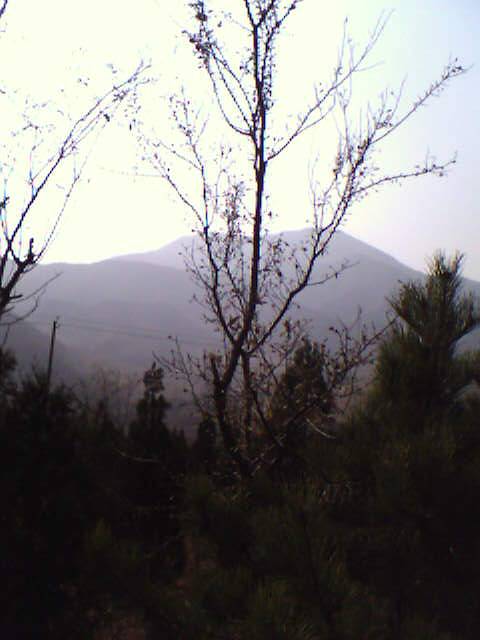 眺望南边主峰-989米