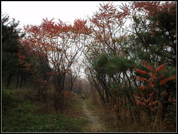 红绿相间的秋天，美得让人心醉。